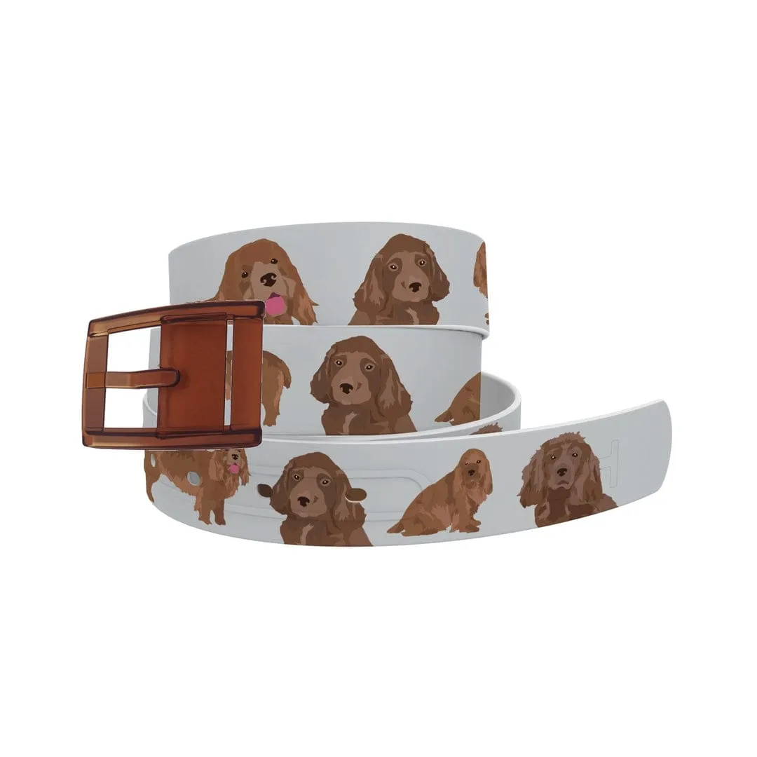 C4- Belt (Sussex Spaniel)