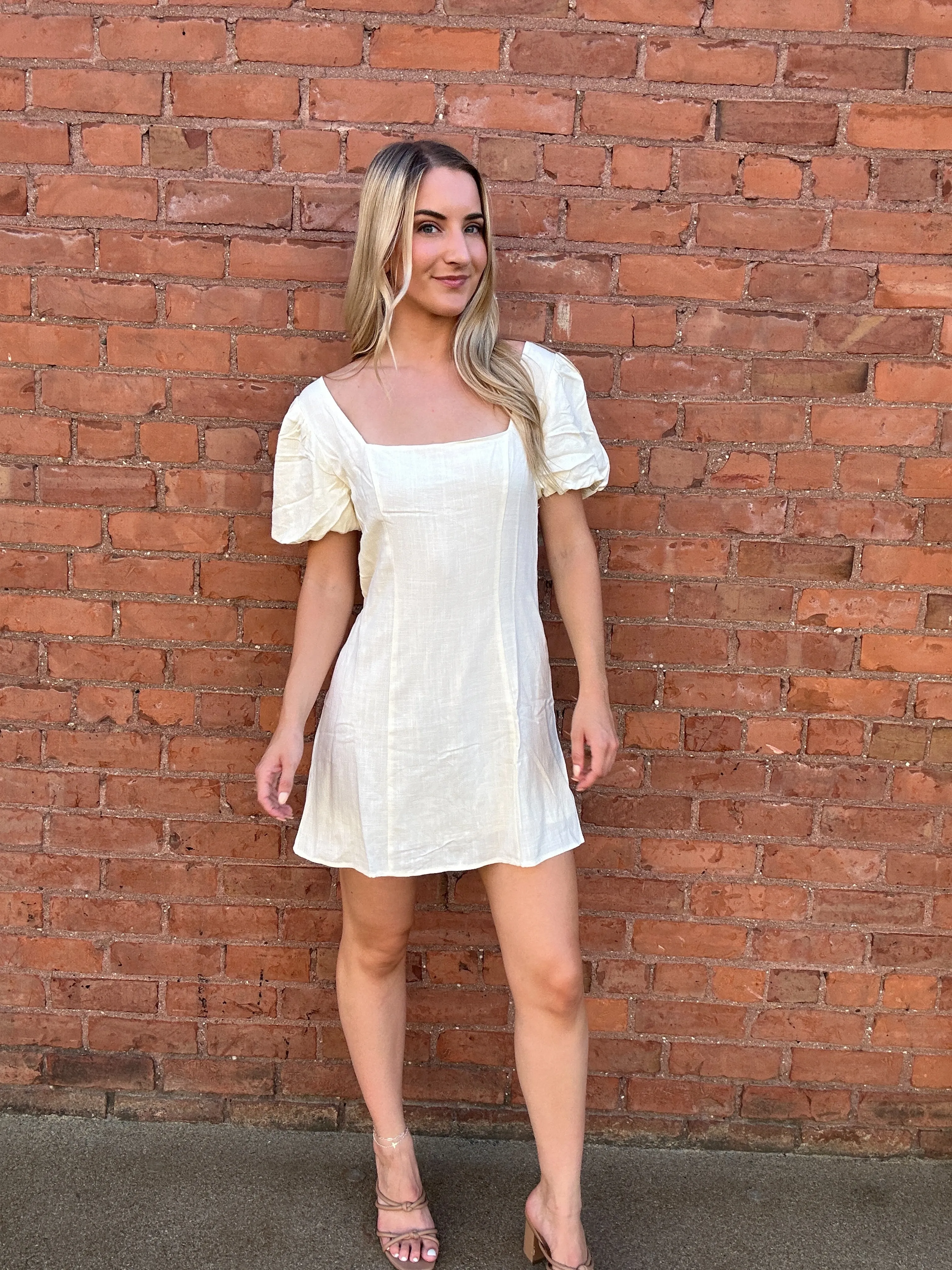 Paige Puff Sleeve Dress