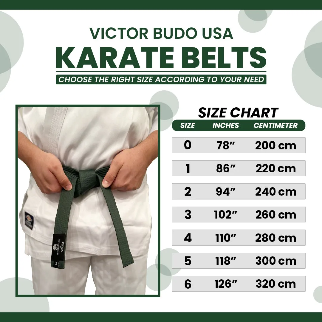 TAEKWONDO JUDO COLORFUL MARTIAL ARTS RANK KARATE BELT | VICTOR BUDO USA